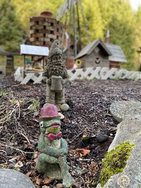 Gnomeville - Image 1