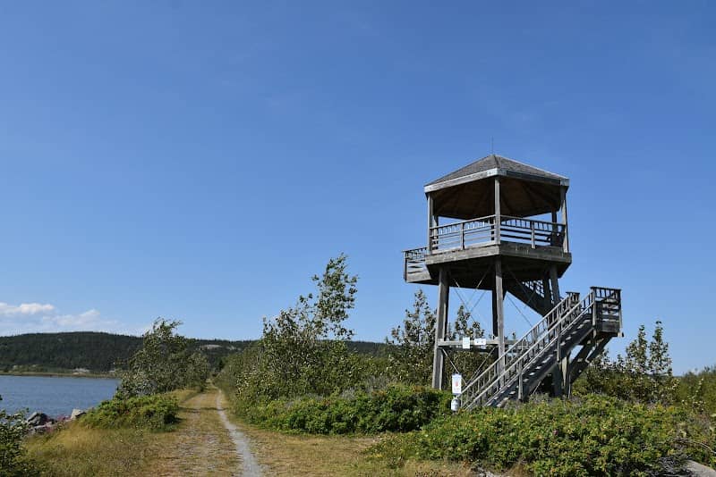Site ornithologique du marais de Gros-Cacouna - Image 3