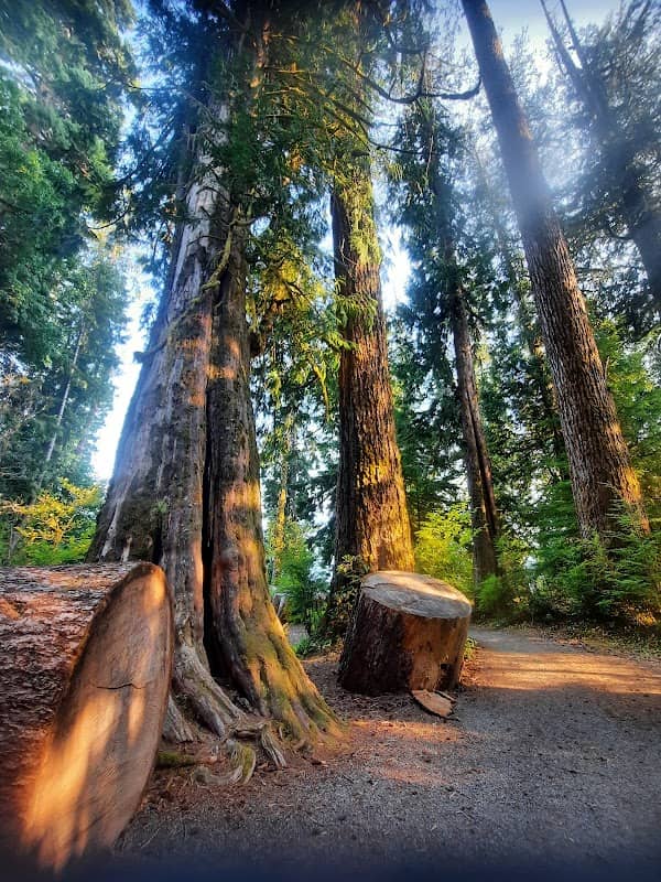 July Creek Picnic Area Trailhead - Image 1