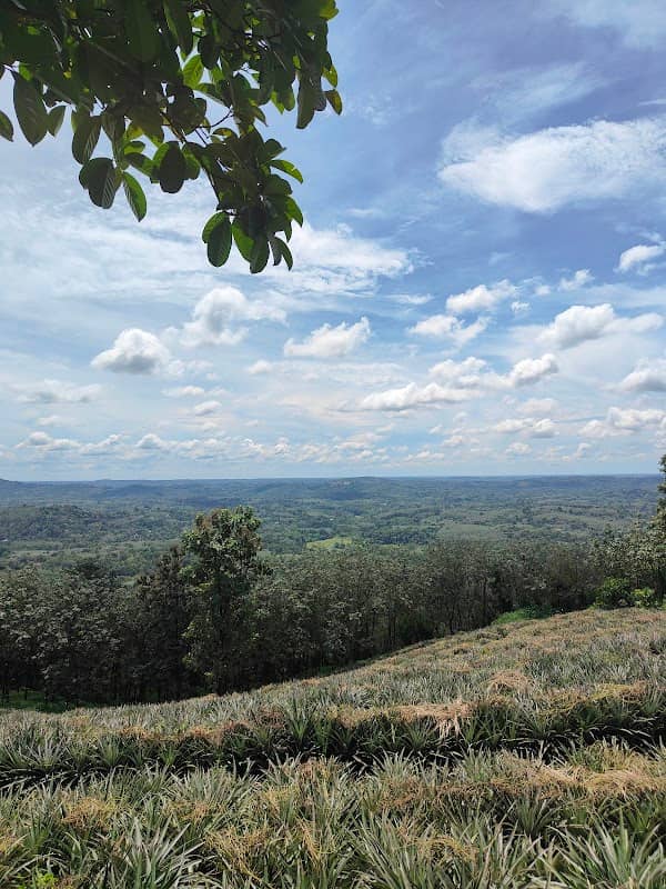 Mandalam Mount View Point - Image 1