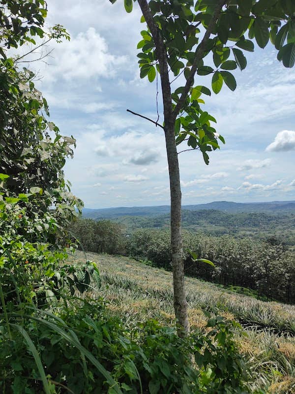 Mandalam Mount View Point - Image 2