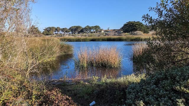 Locke-Paddon Park - Image 1