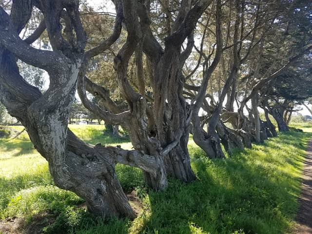 Locke-Paddon Park - Image 2