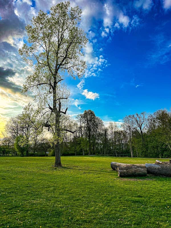 Am Schloß Park - Image 2