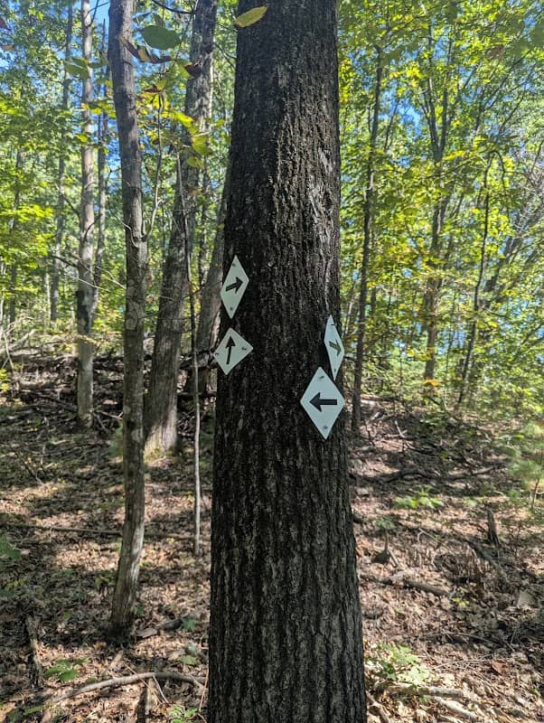 Merrick Trails - Image 3