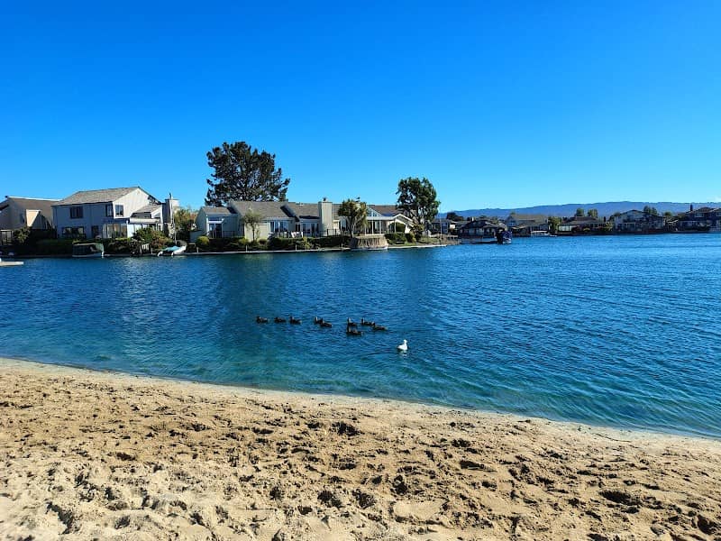 Gull Park - Image 2