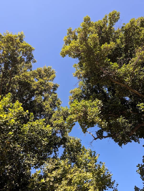Duncan Park - Image 1