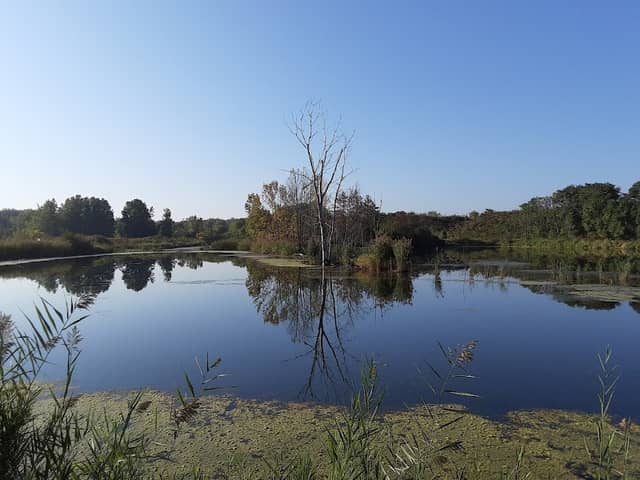 William J Robertson Nature Preserve (Parking Lot B) - Image 1