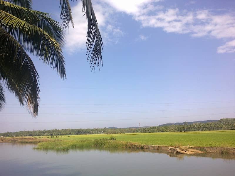 Neelara Chira Check Dam - Image 1