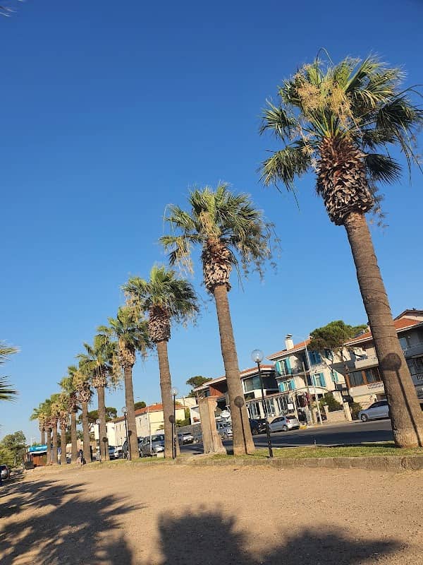 Palmiyeler Parkı - Image 3