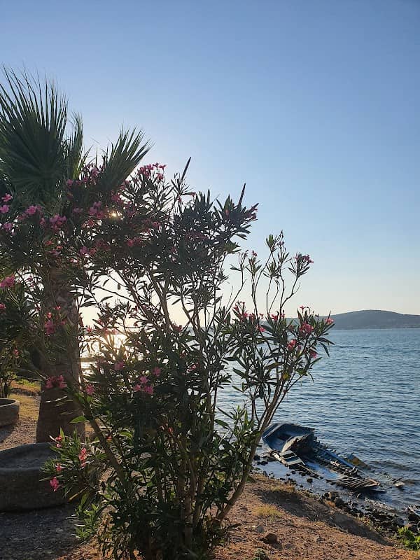 Palmiyeler Parkı - Image 2