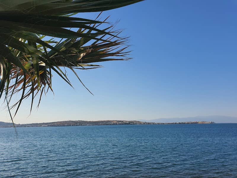 Palmiyeler Parkı - Image 1