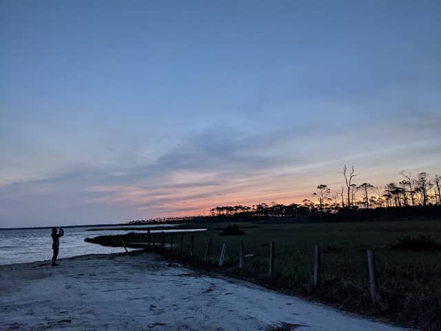 Deal Tract - St. Joseph Bay State Buffer Preserve - Image 1