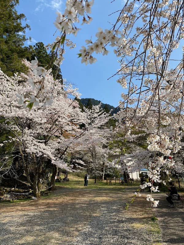 Atago Park - Image 1