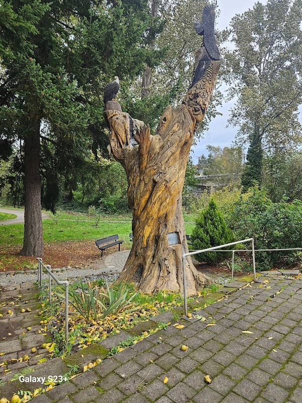 Veterans Park - Image 1