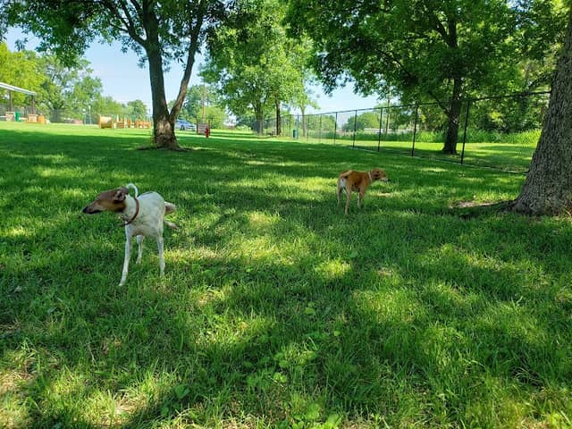 Cat Creek Dog Park - Image 2