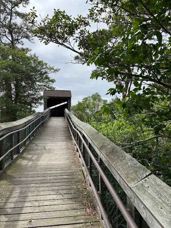 Tubby Cove Boardwalk - Image 1