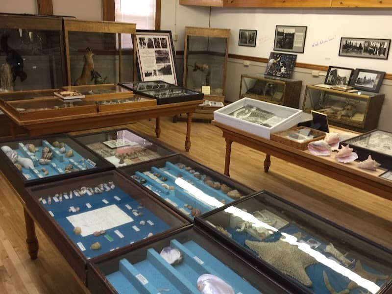 Nylander Museum-Natural History - Image 2