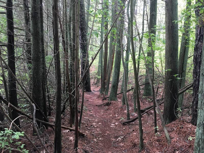 Mill Pond Trails - Image 2