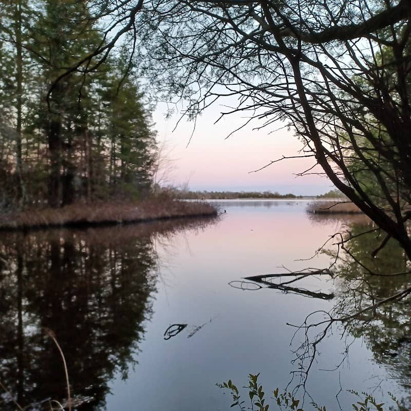 Mill Pond Trails - Image 1