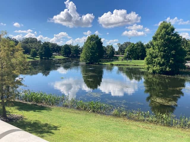 Martin Luther King, Jr. Park - Image 1