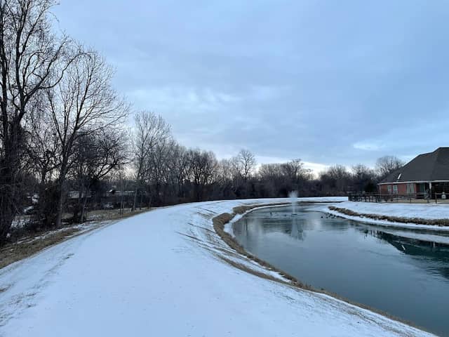 Linear Park - Image 2