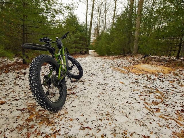 Ingalls Forest Trailhead - Image 1