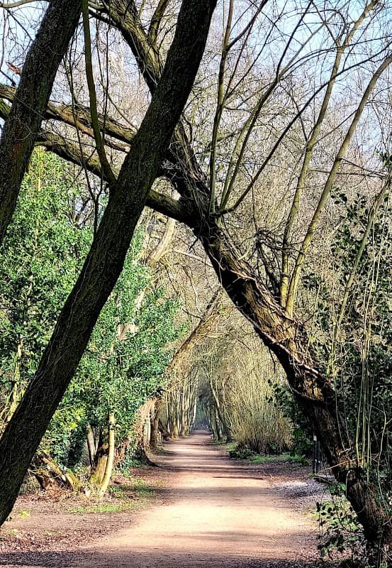 Jinny Nature Trail (Stretton) - Image 1
