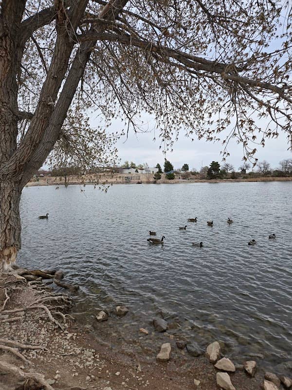 Cattail Crossing - Image 1