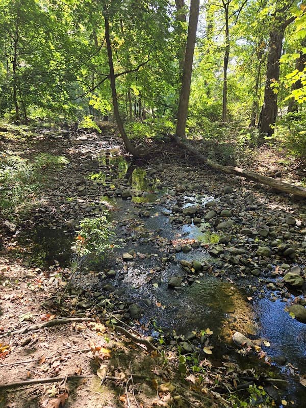 Martin's Brook Park - Image 2