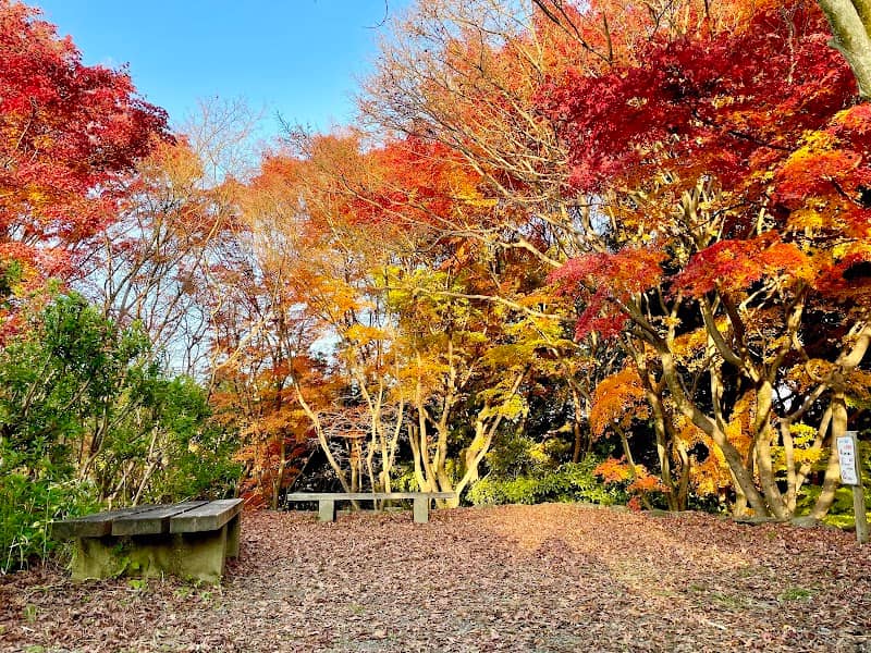 府民の森 むろいけ園地 - Image 2