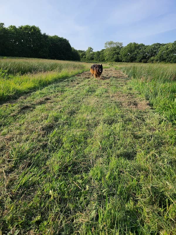 Martin Mack’s farm glanlash - Image 1