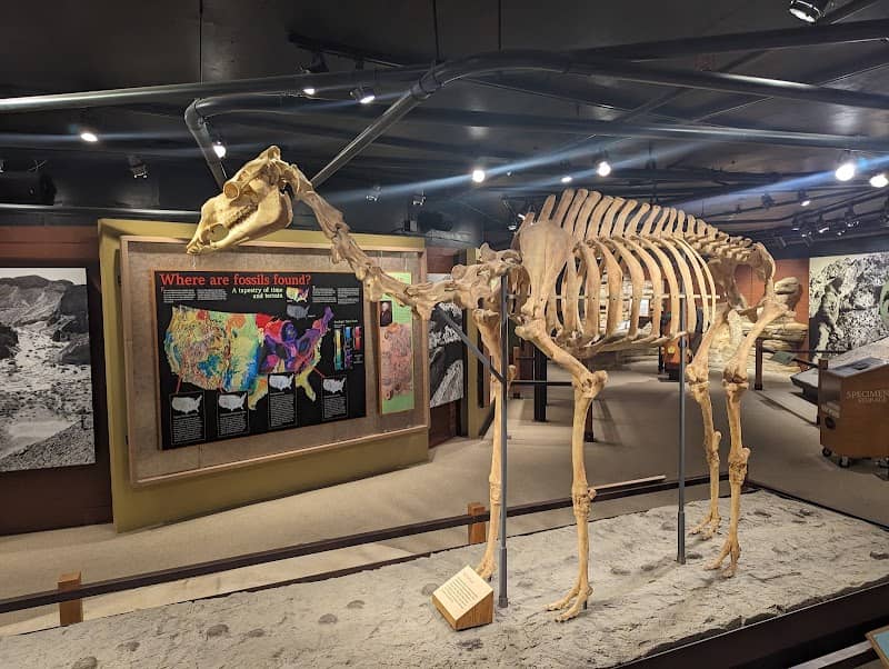 Raymond M. Alf Museum of Paleontology - Image 4