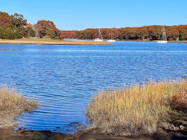 Wilson Park - Image 2