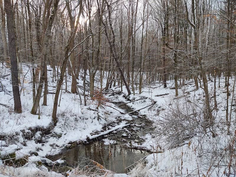 Bully Hill State Forest - Image 1