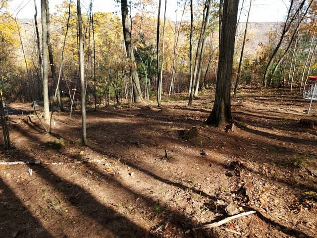 Flynt Park - Image 1