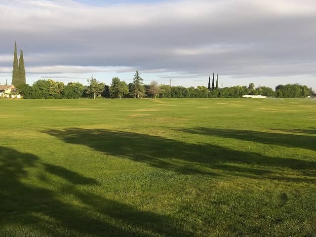 Persimmon Park - Image 3