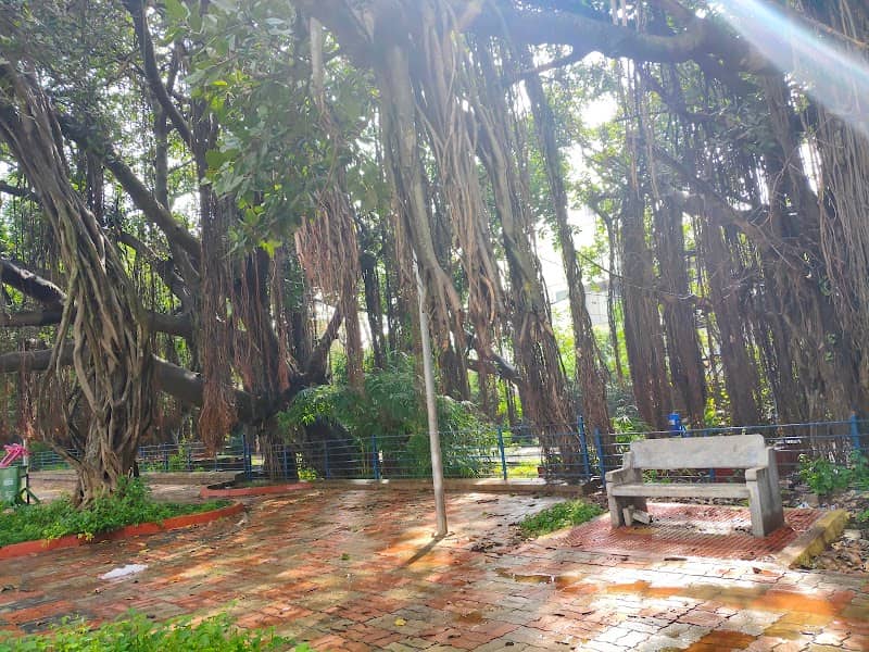 Banyan Tree Park || C.S.I Layout || Thumkur - Image 1