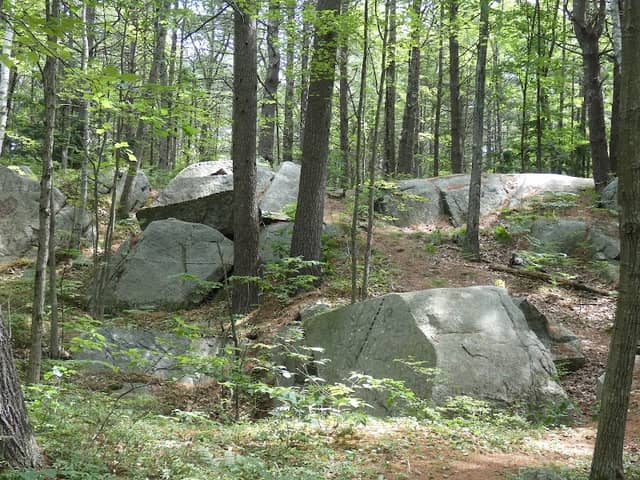 Clifford Park - Image 2