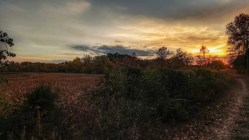 French Creek Preserve at Orono Township - Image 2