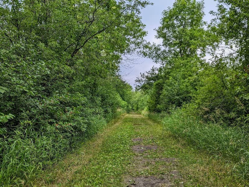 French Creek Preserve at Orono Township - Image 1