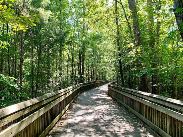Four Mile Creek Greenway, Matthews - Image 2
