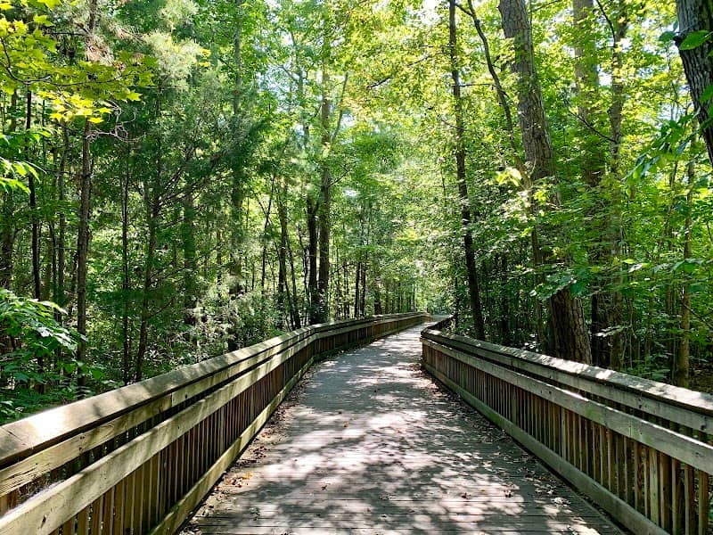 Four Mile Creek Greenway, Matthews - Image 2