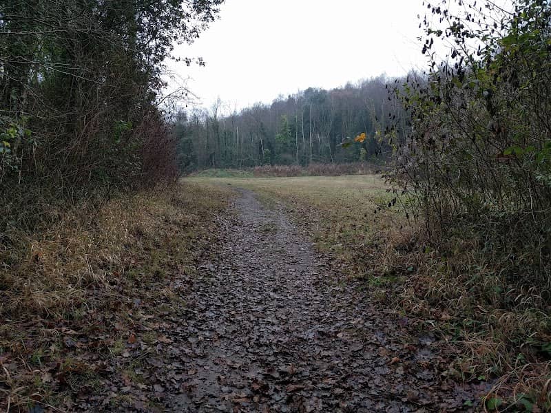 Grays Chalk Quarry Nature Reserve - Image 1