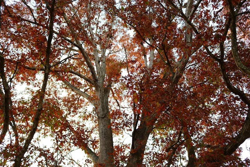 Jefferson Street Park - Image 1
