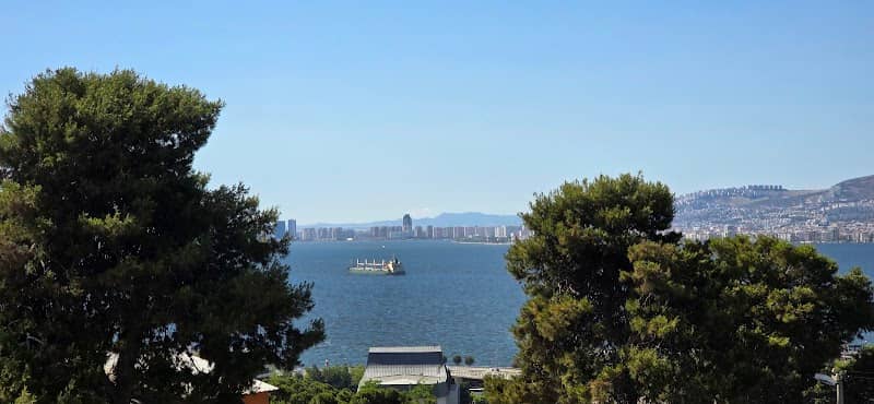 View point - Image 2