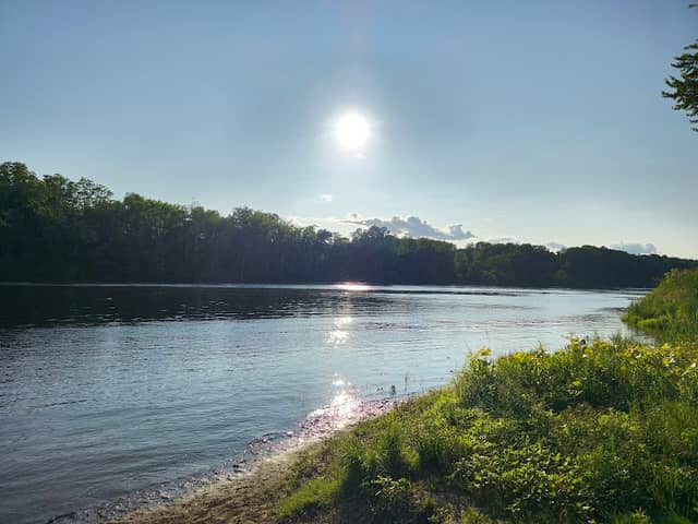 Pauchaug Brook Wildlife Management Area - Image 1