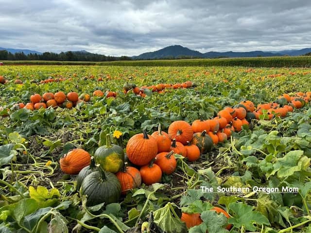 Fort Vannoy Farms - Image 1