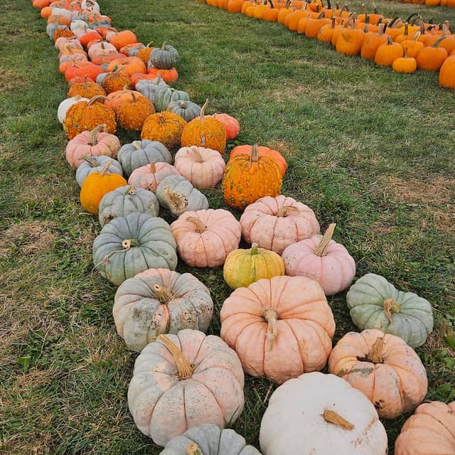 Fort Vannoy Farms - Image 2