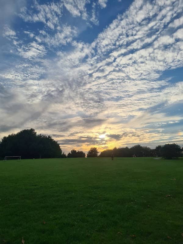 Part of Homer Hill Park - Image 1